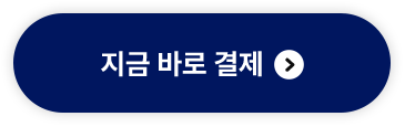 지금 바로 결제