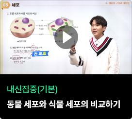 유튜브 강의영상 썸네일