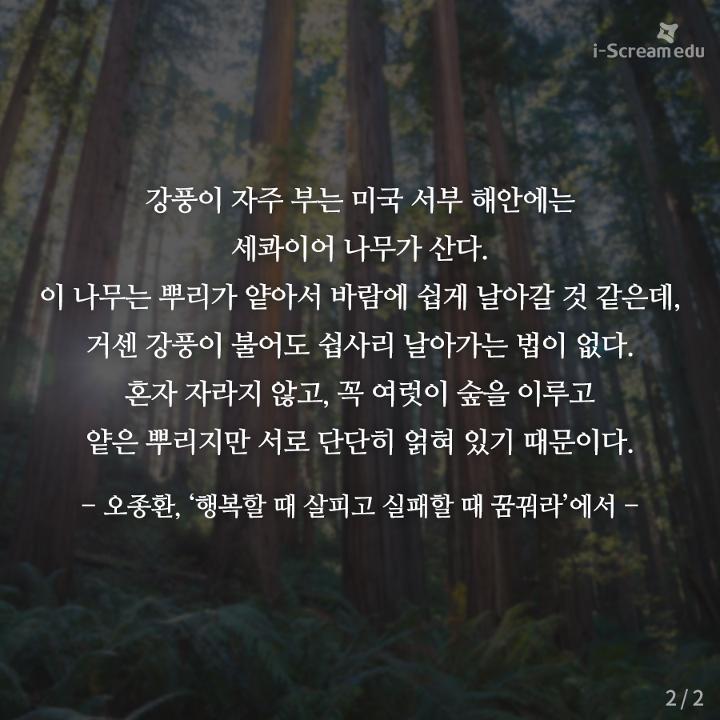 강풍이 자주 부는 미국 서부 해안에는 세콰이어 나무가 산다. 이 나무는 뿌리가 얕아서 바람에 쉽게 날아갈 것 같은데, 거센 강풍이 불어도 쉽사리 날아가는 법이 없다. 혼자 자라지 않고, 꼭 여럿이 숲을 이루고 얕은 뿌리지만 서로 단단히 얽혀 있기 때문이다. - 오종환, ‘행복할 때 살피고 실패할 때 꿈꿔라’에서